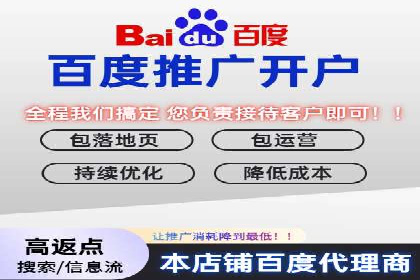 关键词竞价排名案例解析与启示